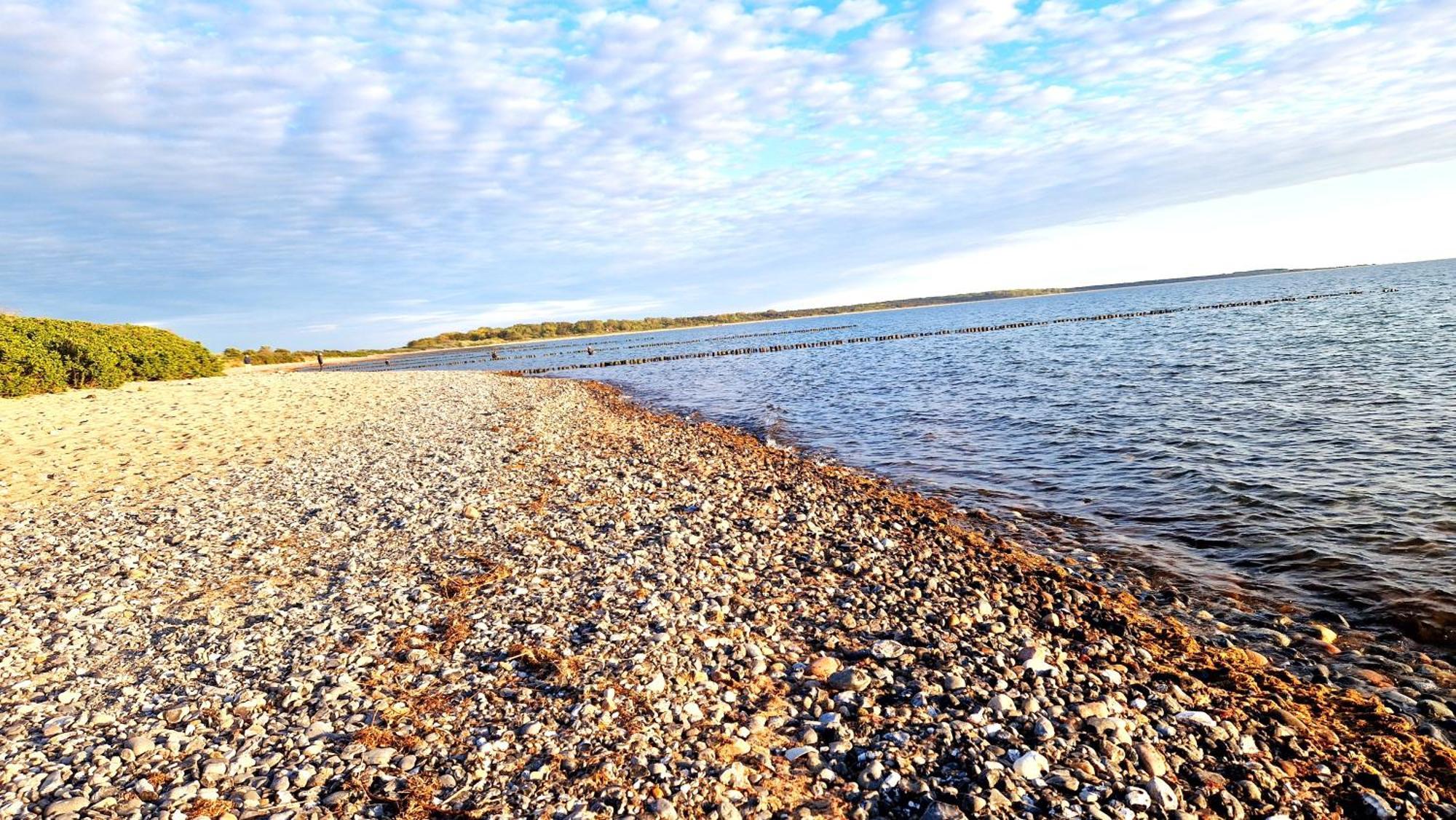App 8O Grosser Tag Am Meer Mit Wasserblick ดรันส์เคอ ภายนอก รูปภาพ